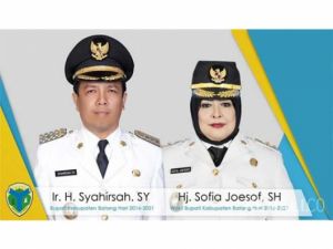 Inovasi Pelayanan Elektronik, Batanghari Masuk Nominasi 40 Besar