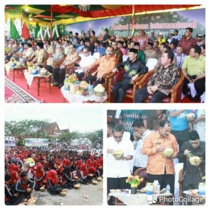 Wakil Bupati Hadiri Festival Kelapa Internasional