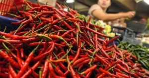 Sempat Naik, Hari Ini Harga Cabe Turun Rp 2 Ribuan