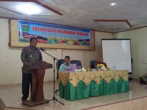 Hadiri Sosialisasi Keamanan Pangan, Wawako Siap Dukung Pendirian Balai POM di Sungai Penuh