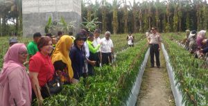 Untuk Program Desa Mandiri Cegah Api, Minamas Plantation Gelontorkan Rp4 Miliar