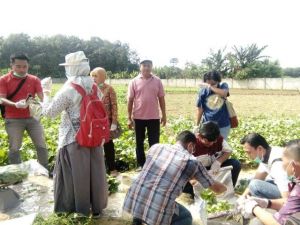 Daun Bisa Jadi Uang, Asrori Prihatin Pemuda Zaman Now Hanya Mau Jadi Karyawan