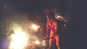 1 hektar lahan kosong habis terbakar