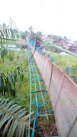 Jembatan Gantung Putus di Kumpeh, 6 Kendaraan dan Pengendara 