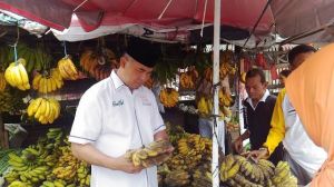 Turun Sambil Cek Harga Kebutuhan di Pasar Keluarga, Fasha Ajak Tim Ikut Berbelanja