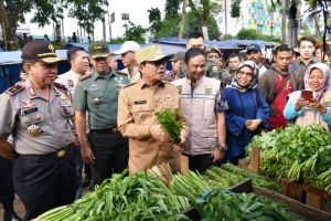 Fachrori Tinjau Ketersediaan Dan Harga Pangan Pokok dan Pospam