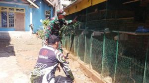 Meluangkan Waktu Untuk Melihat Dan Belajar Peternakan Burung Perkutut