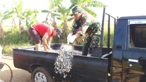 Gunakan Pick-up Guna Angkut Material Ke Lokasi