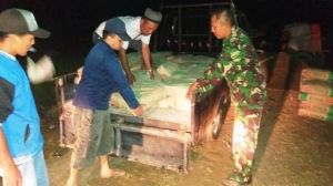 Kades Terjun Langsung Dalam Dropping Material Semen