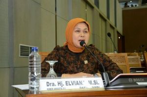 Wajib Mundur dari Pengurus Parpol, Elviana: Saya Dukung Putusan MK