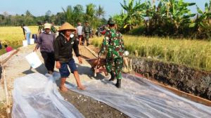 Hilir Mudik Angkong Pembawa Material