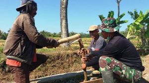 Cangkul Pak Tiri Terlepas      