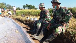 Untung Dan Adi Sangat Bangga Melihat Kebersamaan Warga Dan Satgas TMMD