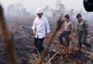 Jokowi Divonis Melawan Hukum di Karhutla