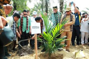 Peremajaan Sawit di Bahar Selatan, Fachrori: Upaya Tingkatkan Perekonomian Masyarakat 