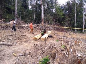 Evi Ditemukan Tewas Dalam Keadaan Membusuk dan Terhimpit Papan