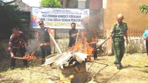 BKIPM Jambi Musnahkan 129 Kulit Biawak Air Ilegal   