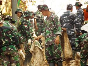 Tiada Rotan Akarpun Jadi, Tiada Angkong Karungpun Jadi