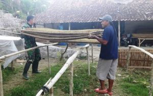 Satgas TMMD Bantu Warga Selamatkan Jemuran Tembakau