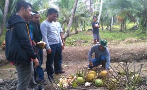 Nikmatnya Air Kelapa Muda dan Makan Siang Bersama Satgas TMMD Kodim 0419/Tanjab
