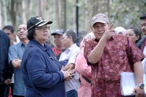 Warsi: Festival PeSoNa 2018 Jambi jadi Ajang Edukasi dan Temu Usaha Perhutanan Sosial