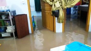 Perumah Aurduri juga Dilanda Banjir, Warga: Ini Pertama Kali