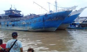 Harga Kelapa Sudah Mulai Naik   
