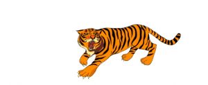 Warga Ketakutan Ada 4 Harimau Berkeliaran, BKSDA Akan Turun Langsung   