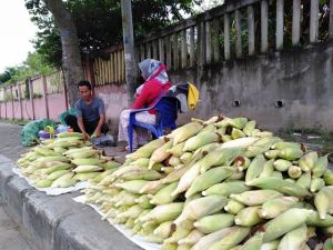 Jelang Malam Pergantian Tahun Baru, Pedagang Jagung Menjamur di Kota Jambi   