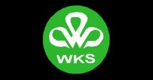 Mengenal Pendiri WKS Aris Adhianto, Sempat Ditertawakan Hingga jadi Pemain Kayu Kelas Dunia