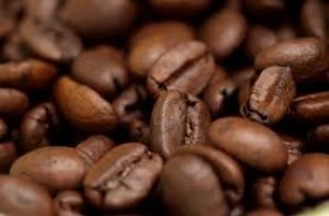 Parfum Kopi Kerinci yang Memanjakan Rasa