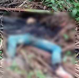 Warga Rimbo Tengah Temukan Mayat Tanpa Identitas di Kebun Sawit