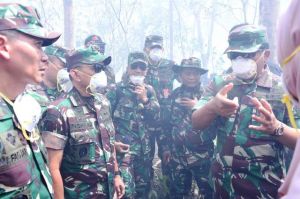 Panglima TNI Pantau Karhutla di Pulau Rupat