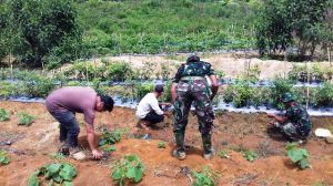 Anggota Satgas TMMD, Membantu Warga Berkebun