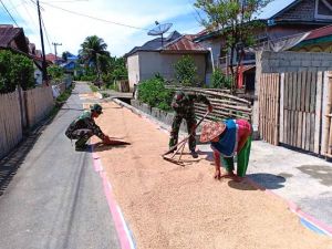 Anggota Satgas TMMD ke 104 Kodim 0417/Kerinci Bantu Warga Jemur Padi
