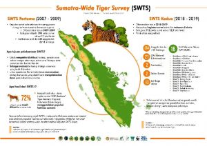 KLHK Luncurkan Sumatra Wide Tiger Survey 2018-2019, Ini Tujuannya