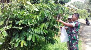 Personel Satgas TMMD Kodim 0417/Kerinci Coba Minuman Tradisional Kerinci