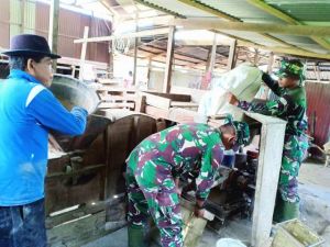 Satgas TMMD Kodim 0417/Kerinci Bantu Warga Giling Kopi