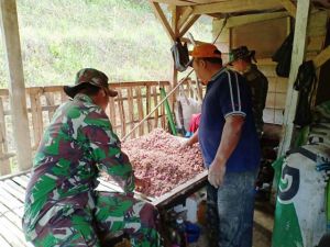 Tim Satgas Diundang Warga Untuk Bantu Pilih Bibit Bawang
