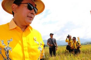 Panen Raya di Kabupaten Purbalingga, Tommy Soeharto: Bangun Ekonomi Kerakyatan dengan Kearifan Lokal