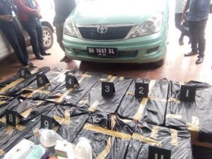 Polres Tanjabbar Gagalkan Penyelundupan Baby Lobster