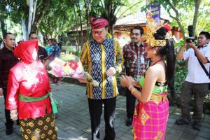 Mendagri Ajak Kepala Daerah Komitmen Eliminasi Malaria