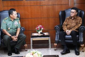 Mendagri Beri Penghargaan Anggota TNI yang Gugur dalam Pemilu 2019