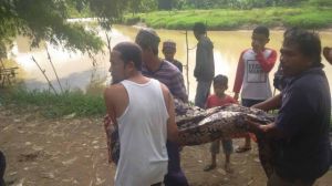 Bocah 11 Tahun Ditemukan Mengapung di Sungai Batang Bungo