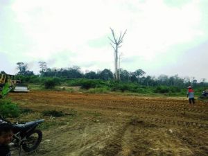 Ketua RT 13 Desa Ladang Peris juga Apresiasi Jalan Baru Program TMMD