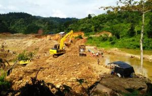 PETI Mulai Garap Hutan Adat Guguk