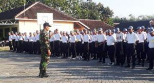 Latih PBB, Pekerjaan 