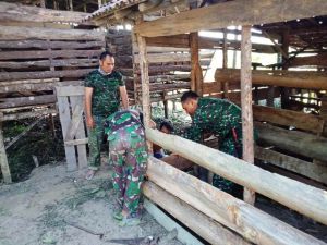 Keakraban dengan Orang Tua Asuh, Satgas TMMD Bantu Buat Kandang Kambing