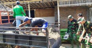 TNI Ternyata Tak Pernah Risi Untuk Kerja Kasar Saat di Lokasi TMMD