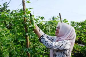 Yunninta Jadi Tolak Ukur di PIlbup Batanghari 